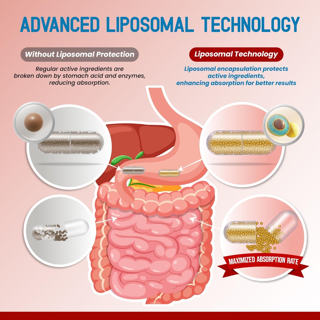 liposomal-glucosamine-chondroitin-msm-su-6.jpg
