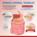 liposomal-glucosamine-chondroitin-msm-su-6.jpg