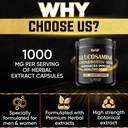 glucosamine-chondroitin-msm-with-immune--5.jpg