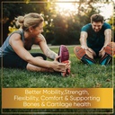 nutrapro-glucosamine-chondroitin-msm-joi-4.jpg