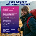 sugar-free-glucosamine-chondroitin-msm-g-3.jpg