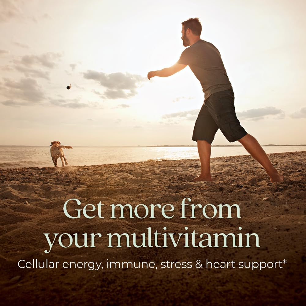 new-chapter-men-s-multivitamin-b6-extra--2.jpg