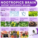 brain-supplements-for-memory-and-focus-1-4.jpg