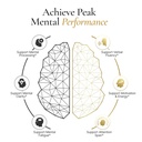 elite-brain-nootropic-supplement-for-foc-2.jpg