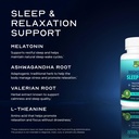 weight-loss-pill-night-time-sleep-shred--4.jpg