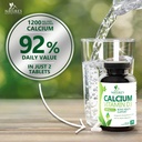 calcium-supplement-with-vitamin-d3-1200--5.jpg