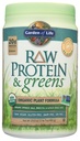 garden-of-life-raw-organic-protein-green-3.jpg