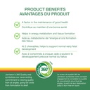 jamieson-delicious-chewable-formula-b-co-3.jpg
