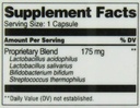 21st-century-acidophilus-probiotic-blend-4.jpg