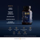 quicksilver-scientific-h2-elite-molecula-4.jpg