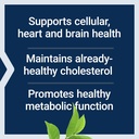 life-extension-decaffeinated-mega-green--4.jpg