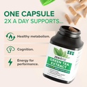 zenwise-health-green-tea-extract-capsule-3.jpg