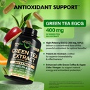 green-tea-extract-50-egcg-extra-strength-6.jpg
