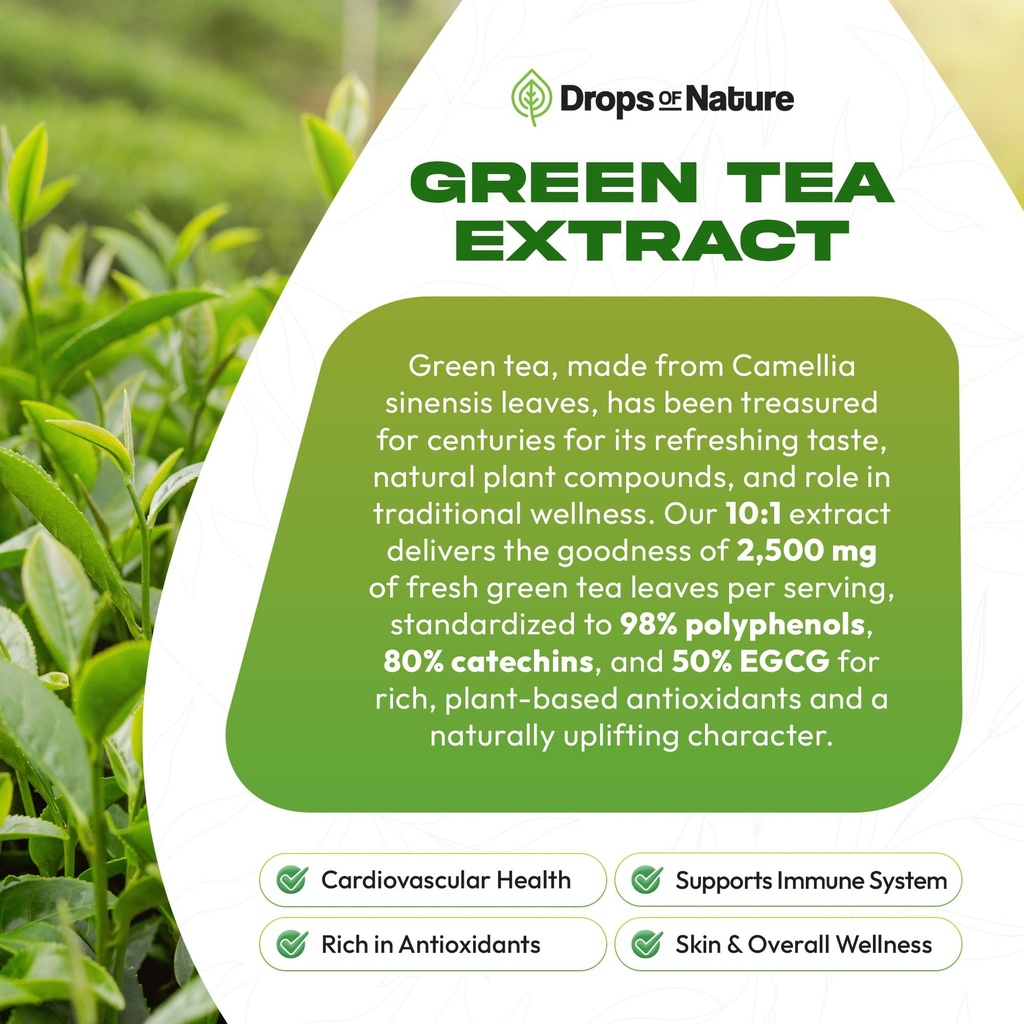 green-tea-10-1-extract-50-egcg-green-tea-5.jpg