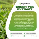 green-tea-10-1-extract-50-egcg-green-tea-5.jpg