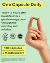 agami-green-tea-capsules-4-month-supply--3.jpg