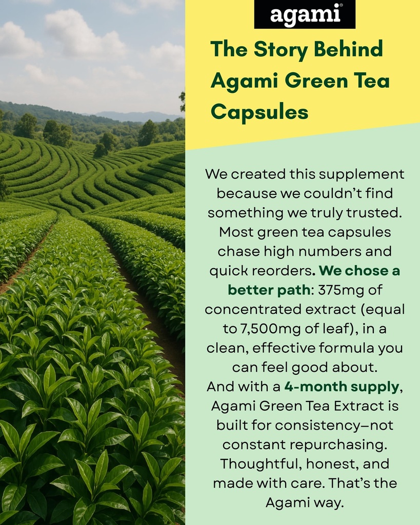 agami-green-tea-capsules-4-month-supply--6.jpg