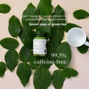 nu-skin-pharmanex-t-green-97-30ct-premiu-4.jpg