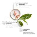 nu-skin-pharmanex-t-green-97-30ct-premiu-3.jpg