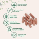 micro-ingredients-extra-strength-green-t-3.jpg