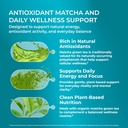 purehealth-research-matcha-1000-mg-organ-4.jpg