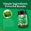green-tea-extract-capsules-500mg-pure-le-5.jpg