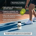 nutrabio-green-tea-extract-capsules-500m-4.jpg