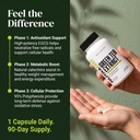 nutrabio-green-tea-extract-capsules-500m-5.jpg