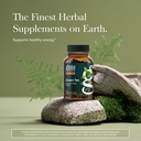 gaia-herbs-green-tea-helps-maintain-heal-2.jpg