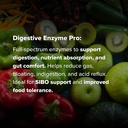 digestive-enzyme-pro-by-dr-rajsree-md-fu-3.jpg