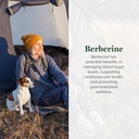 global-healing-center-organic-berberine--2.jpg