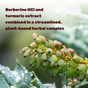 deal-supplement-berberine-max-supplement-4.jpg