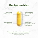 deal-supplement-berberine-max-supplement-3.jpg