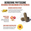 soactive-berberine-550mg-9-6x-higher-abs-4.jpg