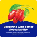 enzymedica-berberine-phytosome-high-abso-5.jpg