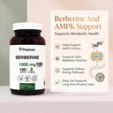 pristine-s-berberine-1000-mg-supplement--4.jpg