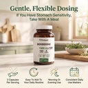 pristine-s-berberine-1000-mg-supplement--5.jpg