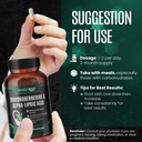refined-root-dihydroberberine-300mg-with-5.jpg