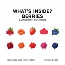 berberine-berries-powder-organic-97-pure-5.jpg