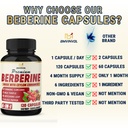 bmvinvol-6in1-berberine-supplement-with--4.jpg