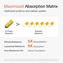 1000mg-berberine-9x-absorption-liposomal-5.jpg