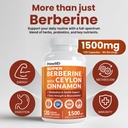super-berberine-supplement-with-ceylon-c-2.jpg
