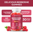 berberine-gummies-2000mg-natural-high-po-5.jpg