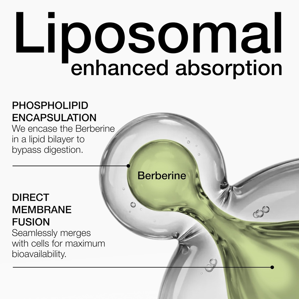 toniiq-liposomal-berberine-high-strength-3.jpg