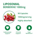 upnourish-liposomal-berberine-supplement-2.jpg