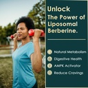 lilicare-berberine-500mg-supplement-once-3.jpg