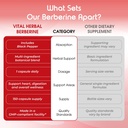 liposomal-berberine-with-cinnamon-turmer-6.jpg