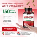 liposomal-berberine-with-cinnamon-turmer-5.jpg