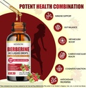 12-in-1-berberine-supplement-liquid-drop-3.jpg