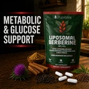liposomal-berberine-500mg-hcl-98-120-cap-6.jpg